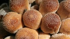 Food Food and Drinks