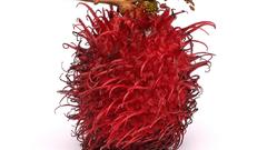 Food Food and Drinks