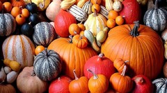 Food fruits pumpkins tam