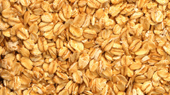 Food grain cereals oats