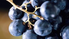Food grapes
