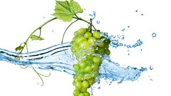 Food grapes drinks