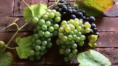 Food grapes fruits