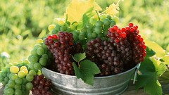 Food grapes fruits
