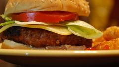 Food hamburgers Food and