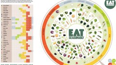 Food healthy infographics charts