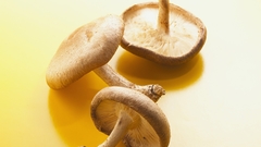 Food mushrooms Food and