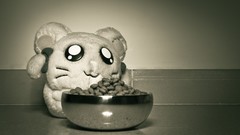 Food Objects grayscale toys (children)