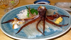 Food octopuses