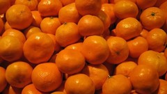 Food oranges fruits tam