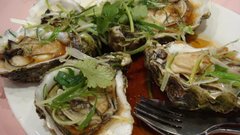 Food oysters Food and