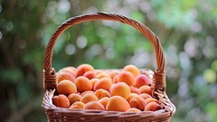 Food peaches fruits baskets apricots