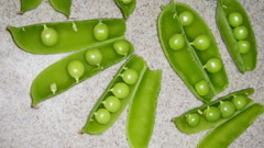 Food peas