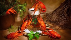 Food Plants plates drinks nets artwork Lobsters beers crustacean