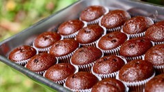 Food plates muffins