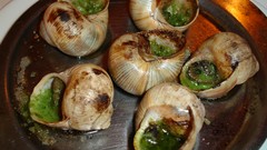Food snails