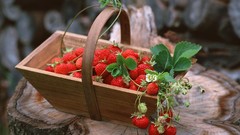 Food strawberries fruits