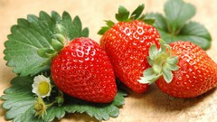 Food strawberries fruits