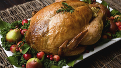 Food Turkey bird World