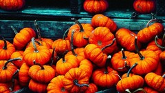 Food vegetables Halloween pumpkins