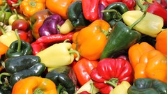 Food vegetables multicolor peppers