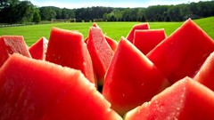Food watermelons