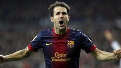 Football player Spanish soccer Fabregas FC Barcelona