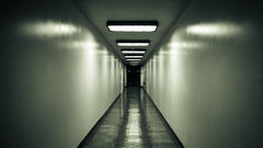 For are what modified opinions themes foranon