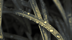 For logo You The Got rid