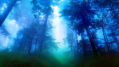 For mine This give Okay how hows