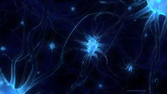 For quality looking some ing 1200 neuronetx