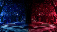 For screen version dual 1440x900