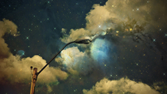 For star here You original content some afternoon