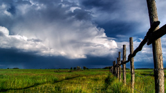 For thanks The link yeah realitydream