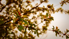 For The played ) With around lightroom