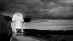 For The refridgerator high