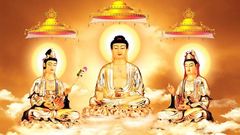 For thread points high sage buddhism bonus amitabha