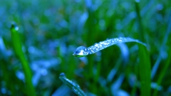 For You high Resolution