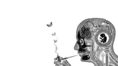 For You looking what This