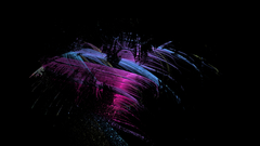 Foranon7 going to make