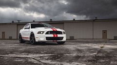 Ford ford mustang shelby gt500