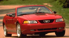 Ford mustang ford mustang