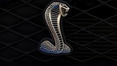 Ford mustang Ford Shelby