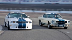 Ford Mustang GT Shelby Mustang