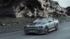 Ford mustang shelby gt500