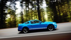 Ford mustang shelby gt500 muscle cars Ford Shelby