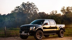 Ford raptor
