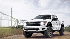 Ford raptor Arctic
