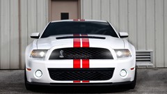 Ford Shelby Ford mustang american cars muscle cars white cars