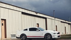 Ford Shelby Ford mustang american cars muscle cars white cars